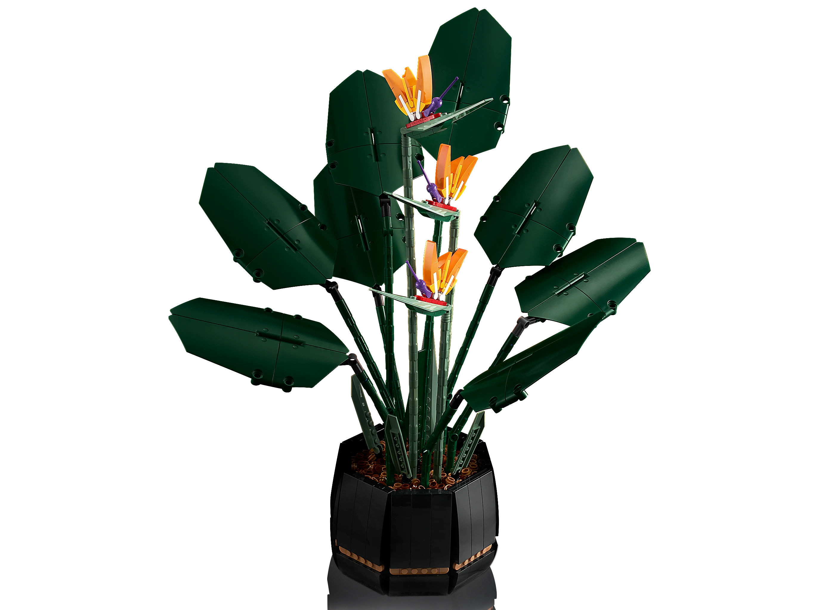 LEGO Bird of Paradise 10289 Alt4