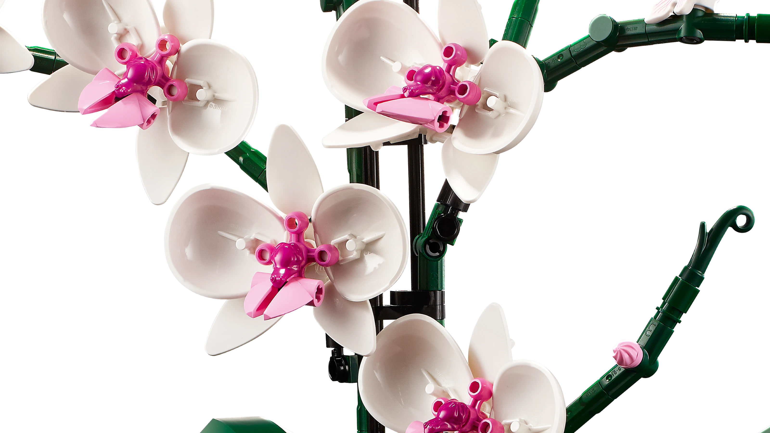 LEGO Orchid 10311 Alt3