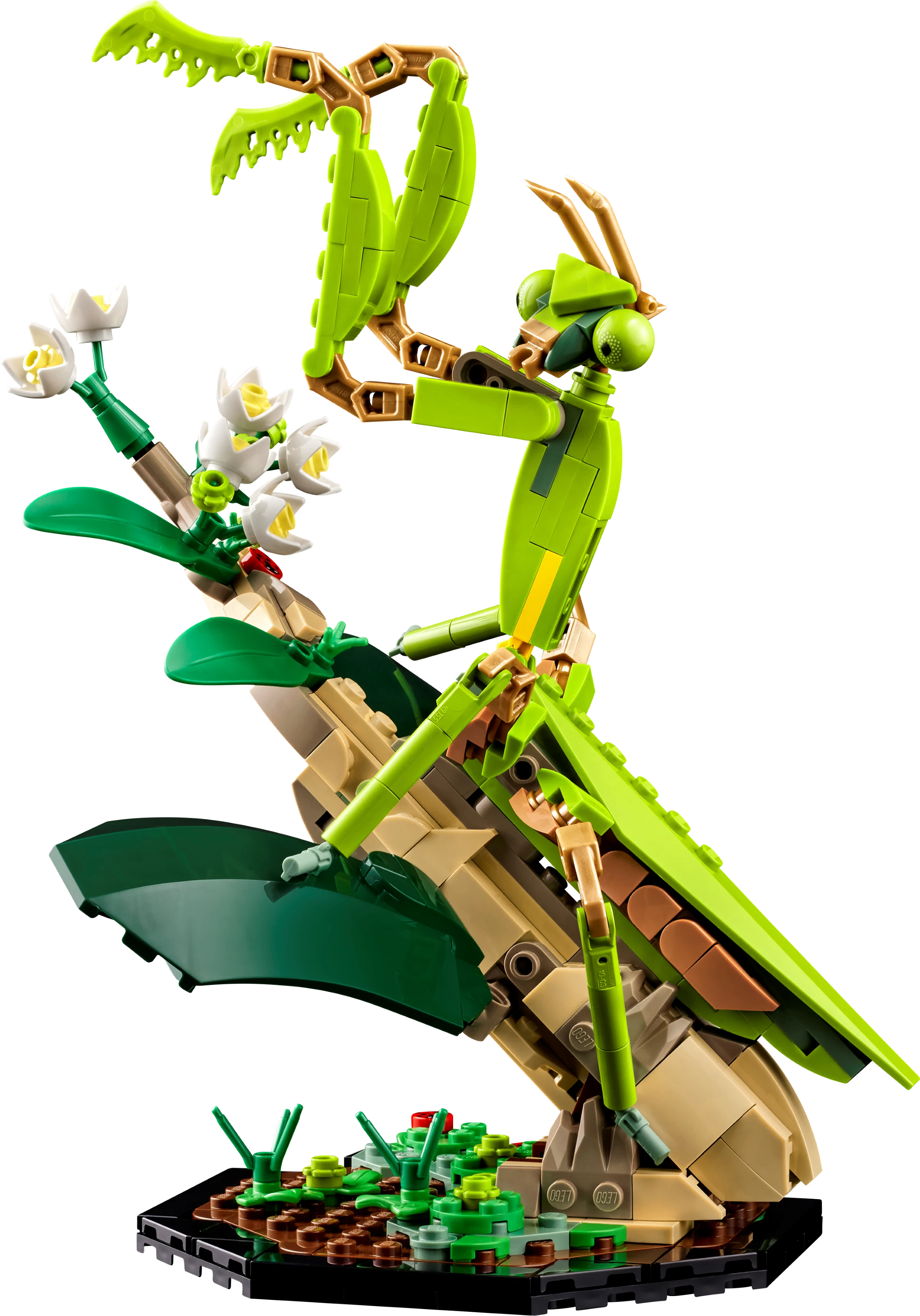 LEGO The Insect Collection 21342 Alt3