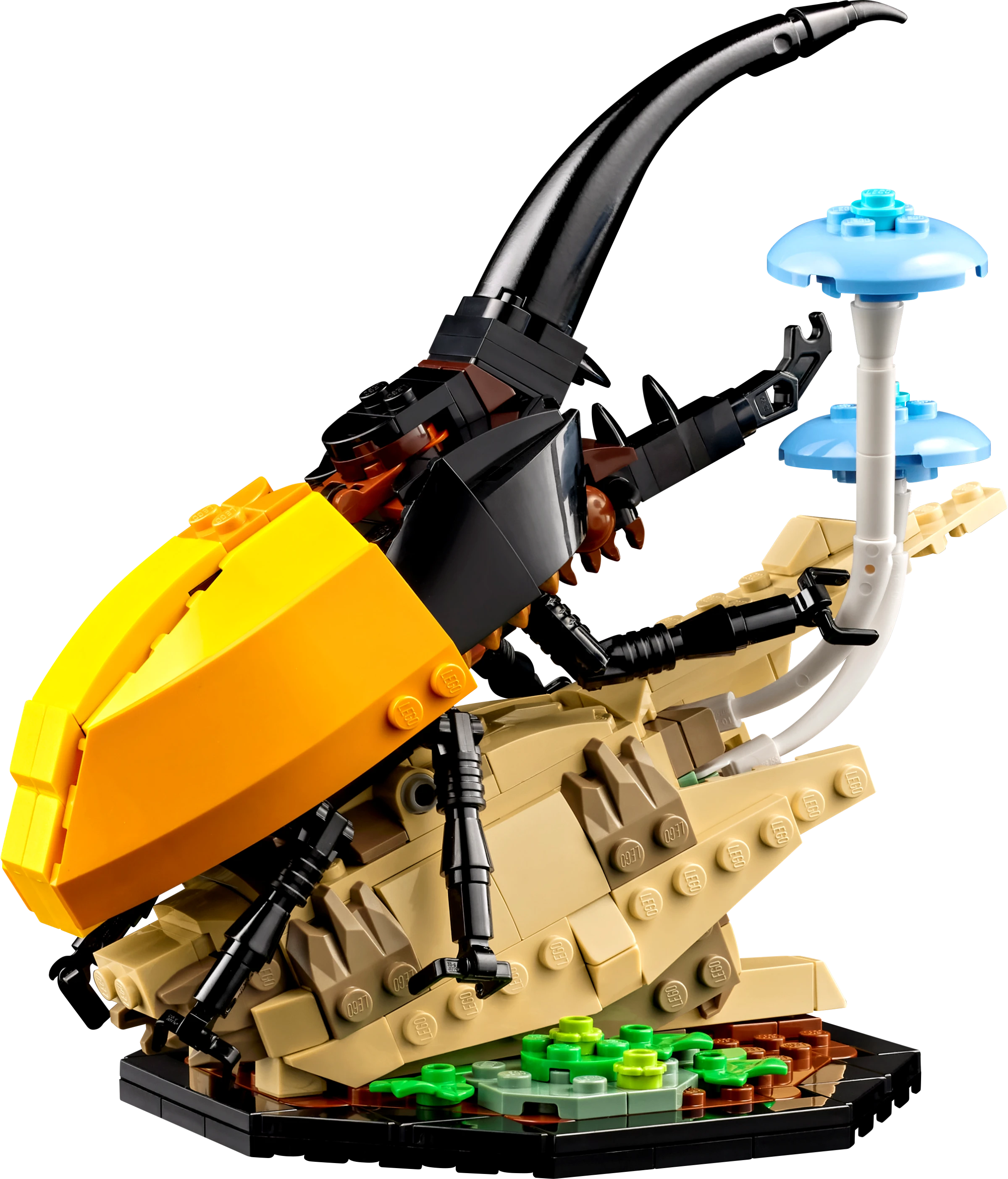 LEGO The Insect Collection 21342 Alt4